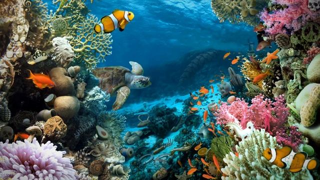 GXO: Vacation Quest: Australia Часть Конец 28 Шаги смотреть онлайн