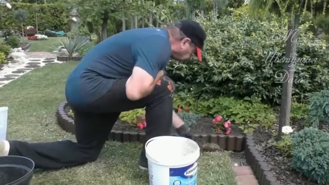 Бордюры для рабаток и клумб//8 идей//Ландшафтный дизайн