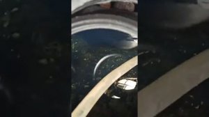 Утопили квадроцикл стелс. как убрать воду с двигателя квадроцикла. эмульсия в двс.#STELS