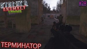 ТЕРМИНАТОР | STALKER ANOMALY GAMMA | Серия 28
