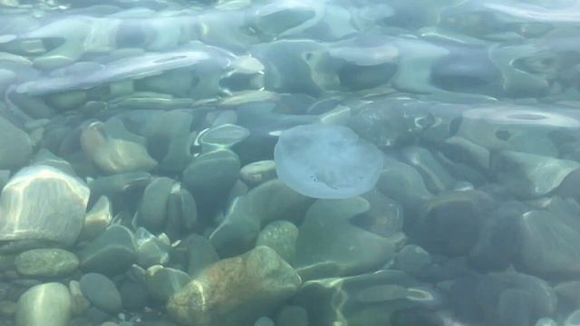 VLOG: СОЧИ ЧЁРНОЕ МОРЕ | МОЕ ПУТЕШЕСТВИЕ В СОЧИ | ЗАКАТ НА МОРЕ | СОЧИ 2018 смотреть онлайн