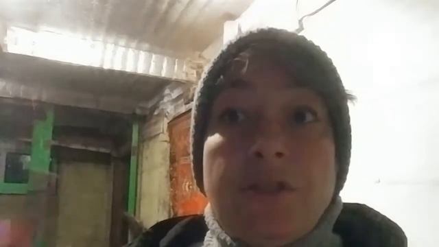 Ожирение у козы.
