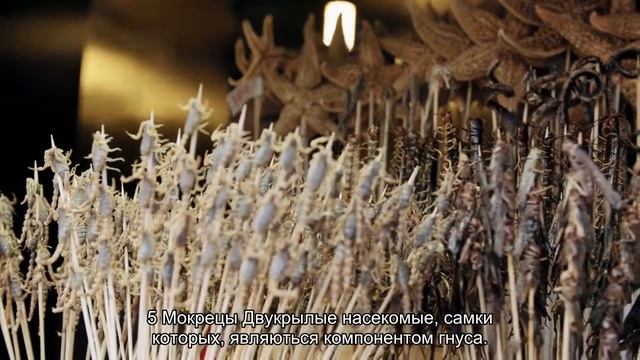 10 кровососущих насекомых смотреть онлайн