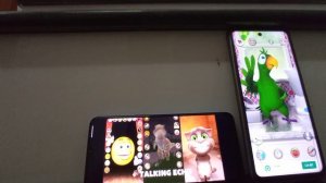 Talking T-Rex Echo Talking Tom Echo Talking Smiling Simon Echo Talking Pierre