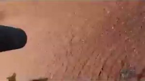 Рай для охотника, Охота на кабана с вертолета