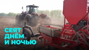 Работают круглосуточно: почему аграрии спешат завершить посев