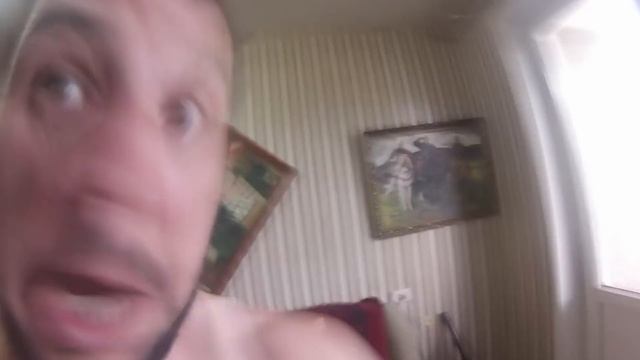 Домашний гусь оракул смотреть онлайн