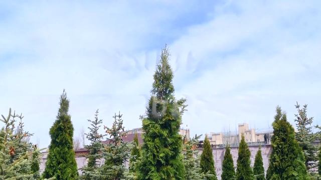 «ԿԱՆԱՉ ՀԵՔԻԱԹ»|"GREEN FAIRYTALE"|"ЗЕЛЕНАЯ СКАЗКА" смотреть онлайн