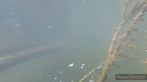 Подводная охота Хакасии!Ташебинский карьер.Логово Карася!Spearfishing in siberia!