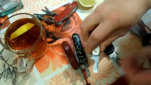 Выбор складных ножей Victorinox для минималиста или о викториноксах двурядниках.