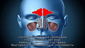 Все о лобных пазухах и их лечении