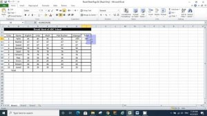 Lec no 3,4 Practical (MS Excel)