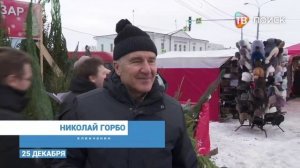 В Клину заработали елочные базары