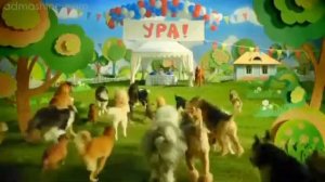 Корм для собак Chappi