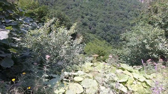 Кабардино-Балкария & Приэльбрусье. День 2. Черекское ущелье.