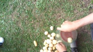 Вот как нужно чистить картофель!=)))