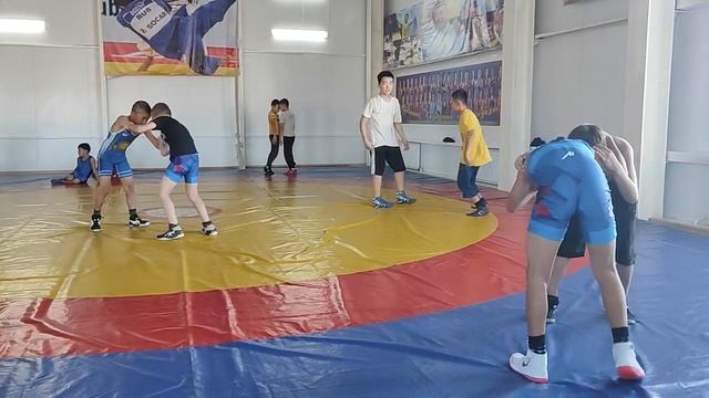 Тренировка вольников Болашак 3.11.23 смотреть онлайн