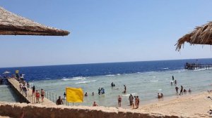 #palma_beach пляж отеля #sharming_inn \ еду вечером за ужином в старый город