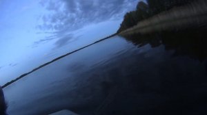 Рыбалка на сети, ставил крупные ячейки, вот результат.