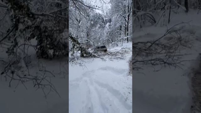 по дороге на гизлу упало дерево пробиваем путь в обход. смотреть онлайн