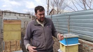 Сжали и утеплили пчел Развитие пчел без грамма сахара Весной