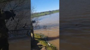 Рыбалка на платном водоеме,ловим карпа