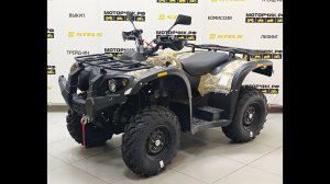 Квадроцикл Stels ATV 500YS Leopard (камуфляж)