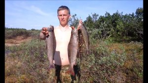 Рыбалка на хариуса  Полуостров Таймыр 2016 год