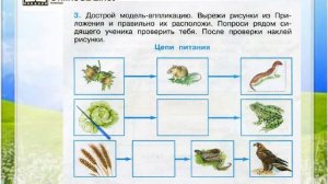 Задание 3 Кто что ест - Окружающий мир 3 класс (Плешаков А.А.) 1 часть