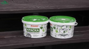 ?? Осенняя побелка деревьев: как, чем и для чего это делать - 7 дач