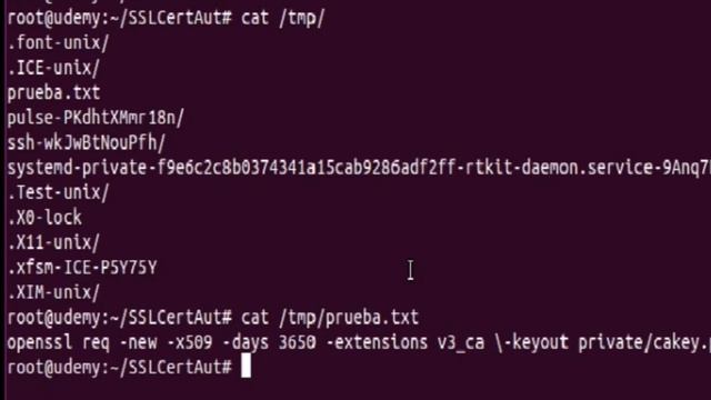 CONFIGURA HTTPS EN SERVIDOR APACHE GNU/LINUX смотреть онлайн