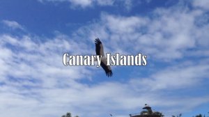 Canary Islands/Жить в Кайф 2013