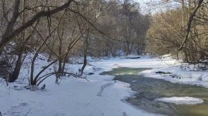 Река Иловай рядом с барским домом Колабиной