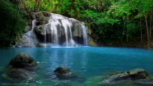 Музыка Водопад Звуки Джунглей Расслабляющий  Music Waterfall Jungle Sounds Relaxing Rainforest