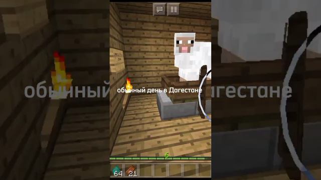 жалко овечку,ну ладно всё по новой #зомбиапокалипсисвмайнкрафт #mainecraft #игры