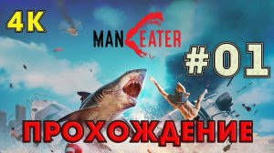 Прохождение MANEATER  ➤01 ✦НАЧАЛО ПРИКЛЮЧЕНИЯ✦