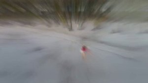 Barcelo Bavaro Beach 2022