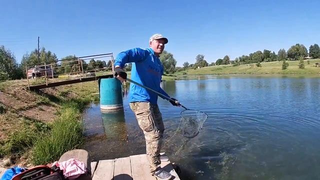 Сытый кот, крайний выезд перед очисткой пруда.