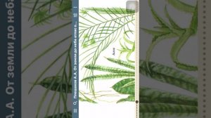 От земли до неба . Атлас определитель. Растения комнатные.