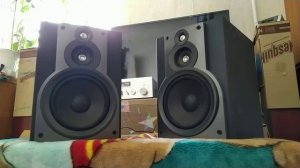 Полочная акустика Samsung PS N66GE