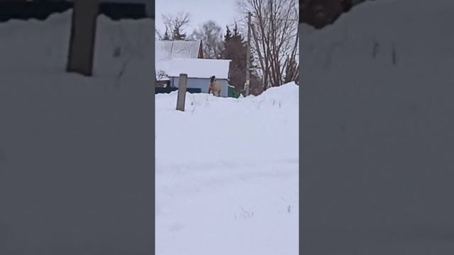 Горная Лаванда смотреть онлайн