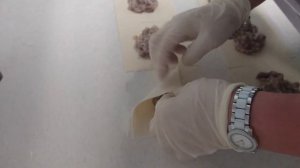 Самый быстрый способ лепки мантов.