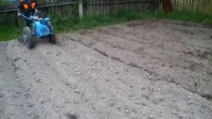 Вторая обработка картофеля мотоблоком .