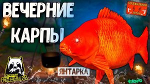 РР4/ рыбалка для души, ловим как универсал, общаемся 09.11.23