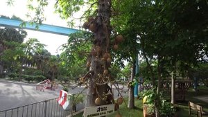 Паттайя.Территория отеля Паттайя Парк.Pattaya Park