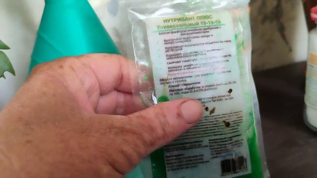 мой уход за комнатными цветами. 3июля2023. смотреть онлайн