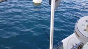 Скрутка переднего паруса Стаксель. Furling sistem