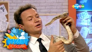 Мультстудия. Выпуск 10. Маша и Медведь идут в школу. Кто такой концепт художник | Телеканал Карусель