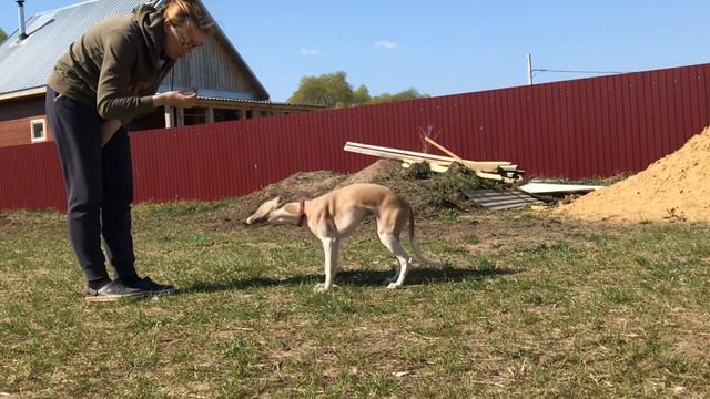 Рогнеда 01.05.19 смотреть онлайн