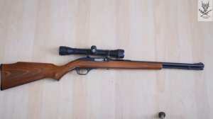 Дозвуковой патрон калибра .22LR. Нужен ли он вообще?"